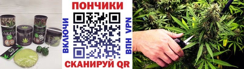 Canna-Cookies марихуана  купить наркотики сайты  Красноуральск 