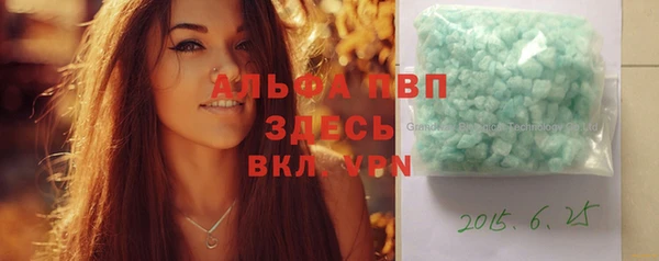 сатива Балахна