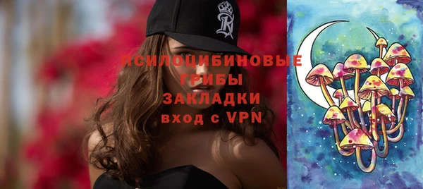 сатива Балахна