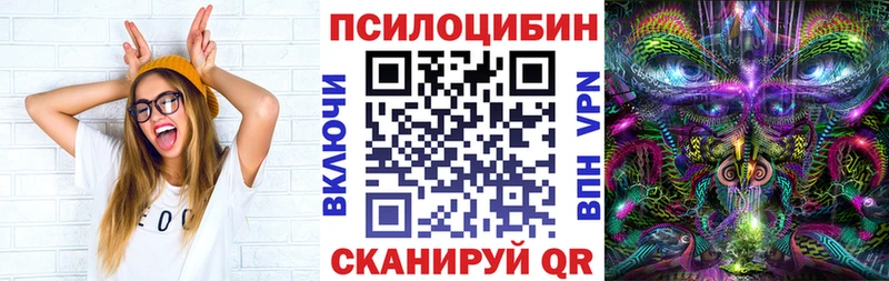 Галлюциногенные грибы Psilocybe  Красноуральск 